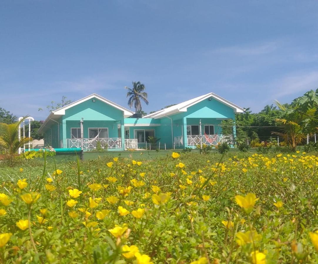 Villa Blue Lizard House à San Andrés Extérieur photo