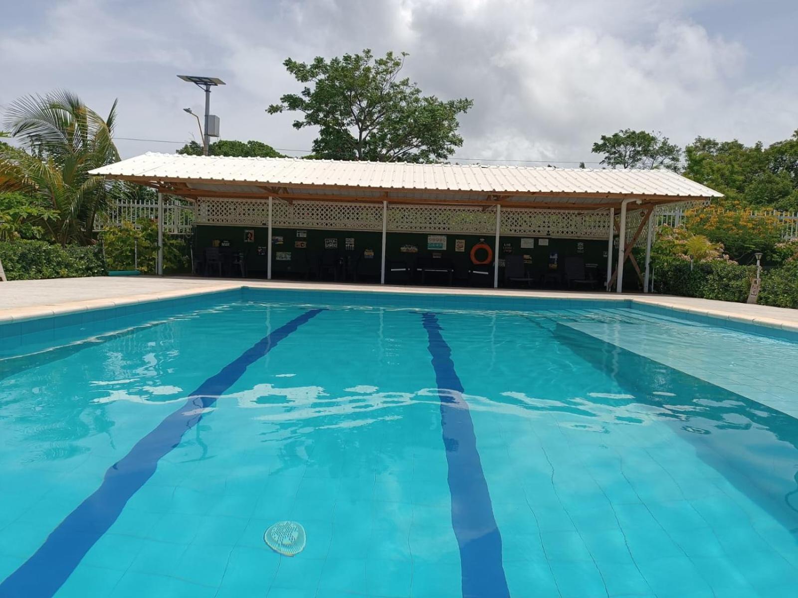 Villa Blue Lizard House à San Andrés Extérieur photo