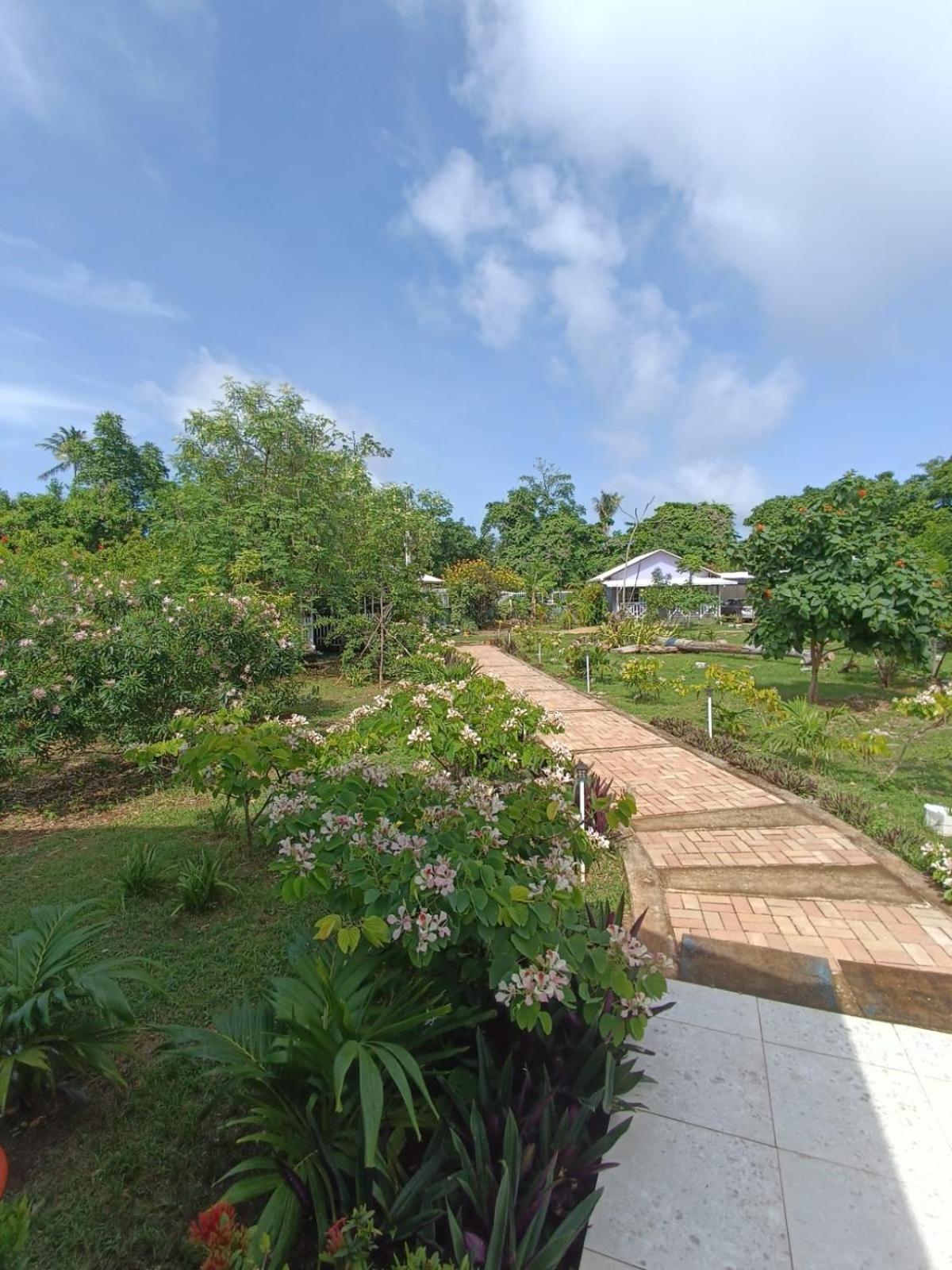 Villa Blue Lizard House à San Andrés Extérieur photo