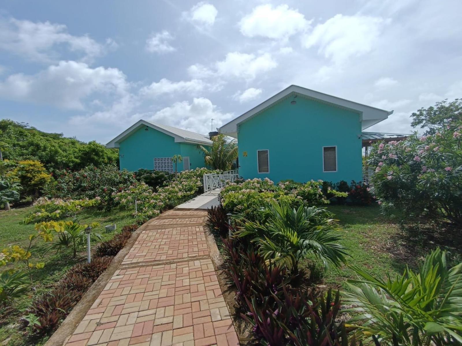Villa Blue Lizard House à San Andrés Extérieur photo