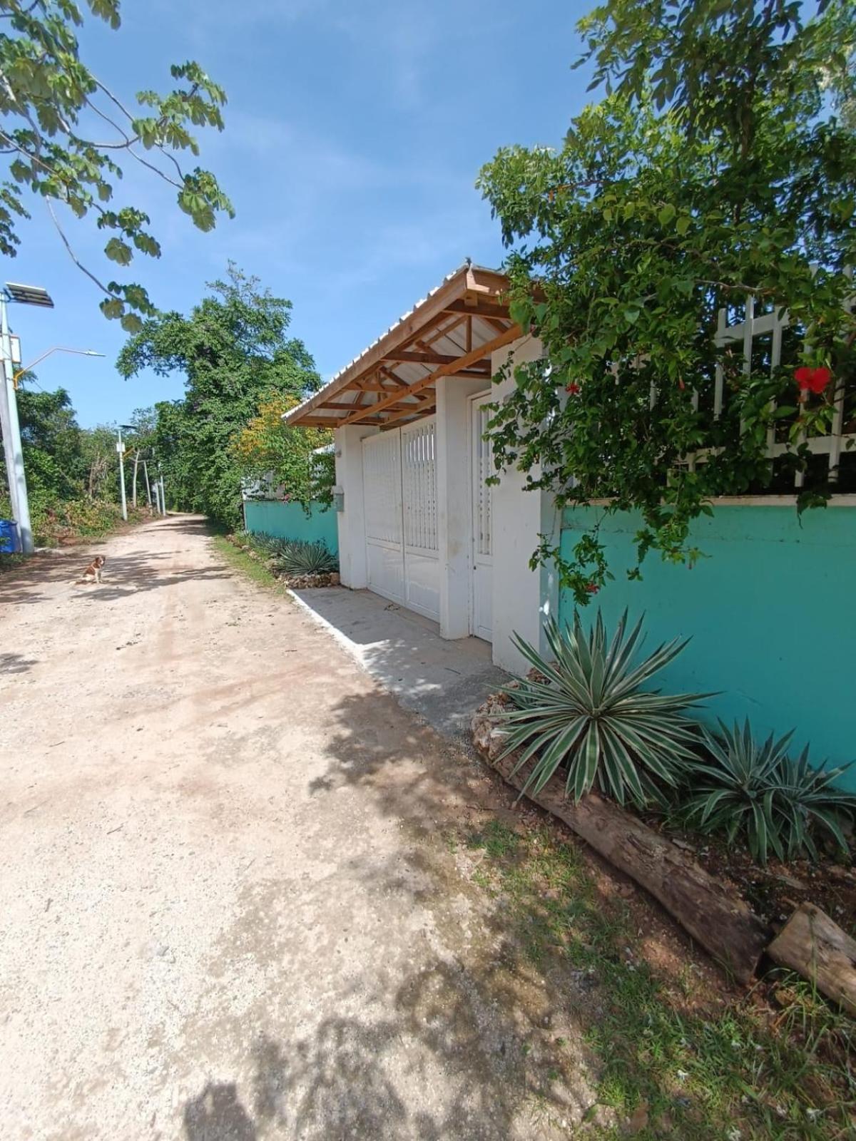 Villa Blue Lizard House à San Andrés Extérieur photo