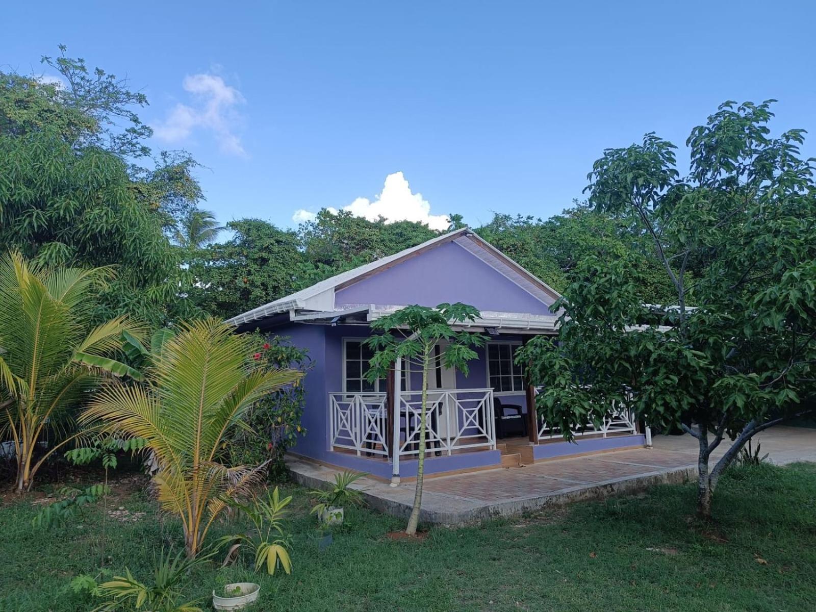 Villa Blue Lizard House à San Andrés Extérieur photo